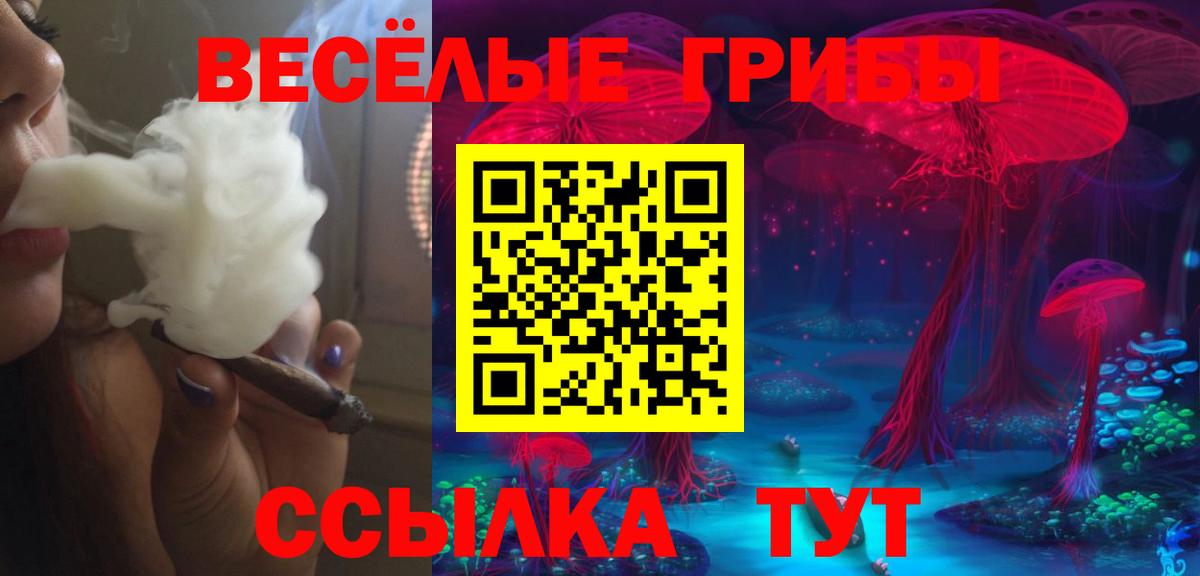 Галлюциногенные грибы MAGIC MUSHROOMS  Вход с VPN  Курчалой 